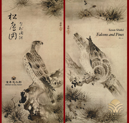Falcons and Pines